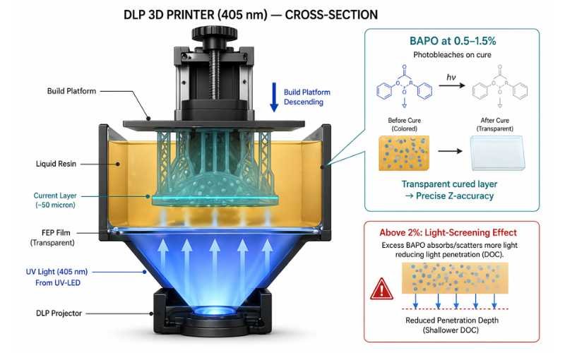BAPO 819 photoinitiator in DLP 3D printing resin — layer cure diagram showing photobleaching effect and Z-accuracy at 405nm UV-LED